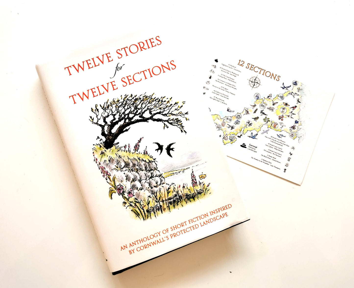 Twelve Stories for Twelve Sections