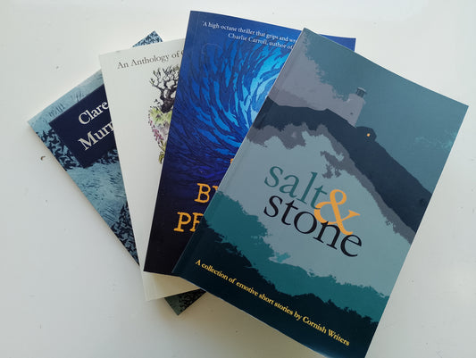 Festival Special - 4 book bundle