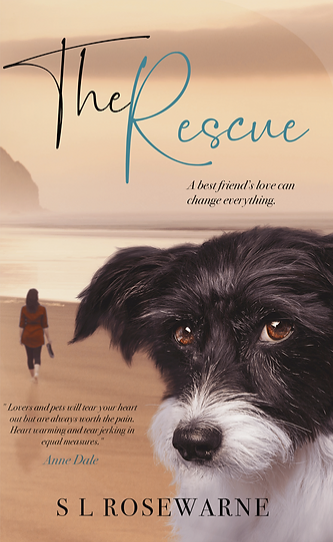 The Rescue